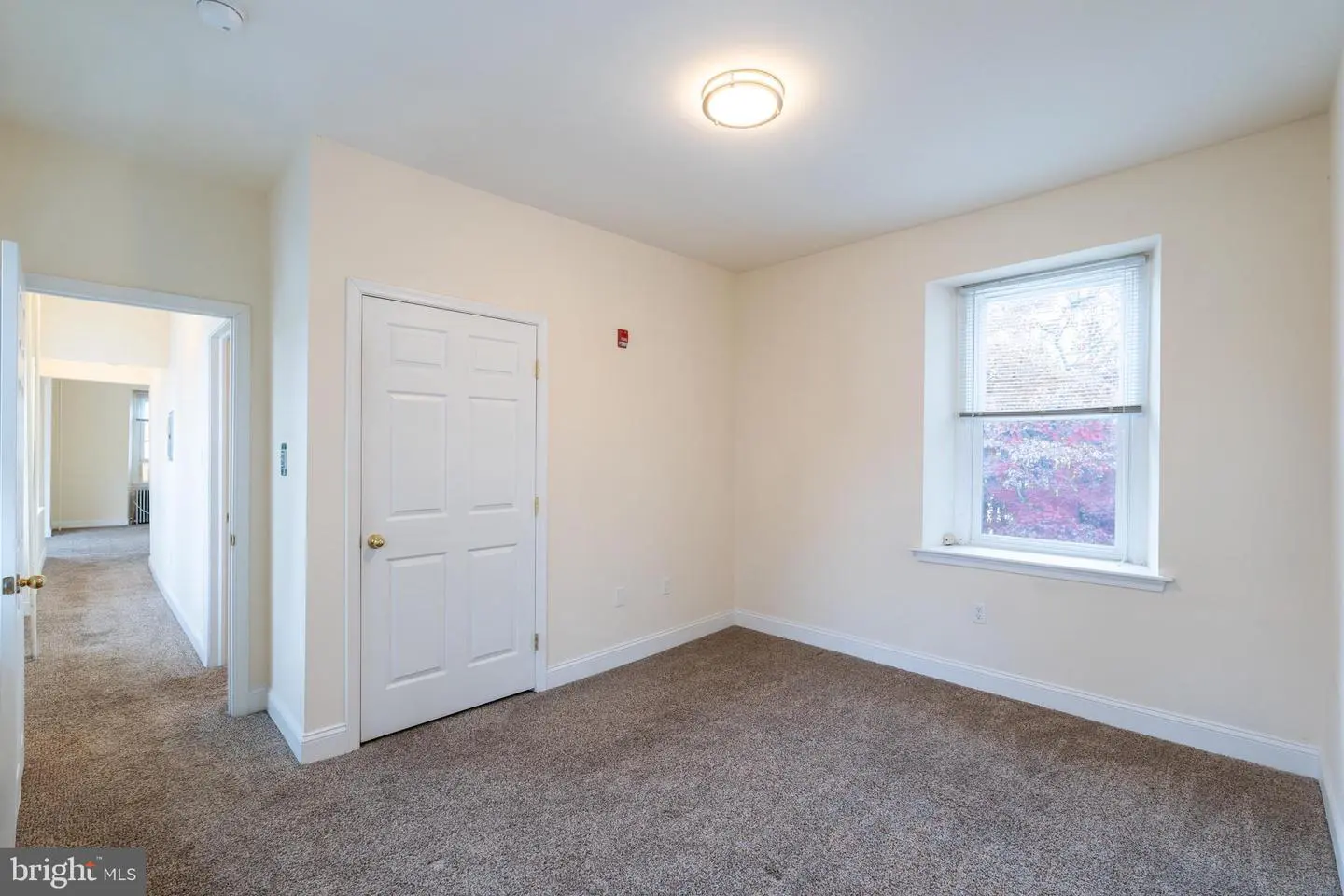 Empty carpeted bedroom with closet and window