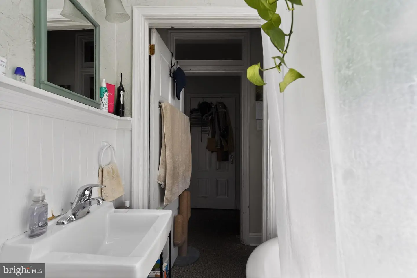 Small bathroom with sink and hanging plant